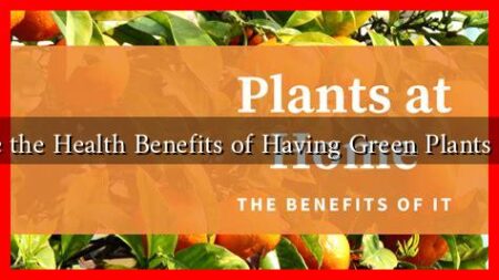 What Are the Health Benefits of Having Green Plants at Home?