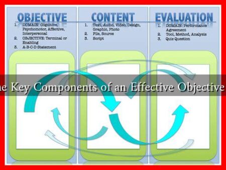 What Are the Key Components of an Effective Objective Evaluation?