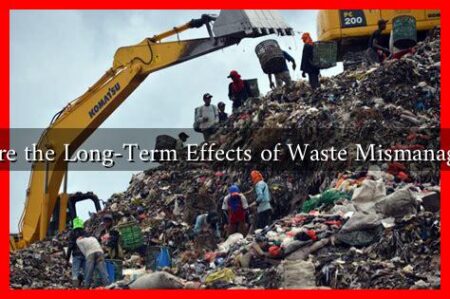 What Are the Long-Term Effects of Waste Mismanagement?