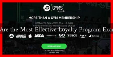 What Are the Most Effective Loyalty Program Examples?
