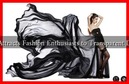 What Attracts Fashion Enthusiasts to Transparent Designs What Attracts Fashion Enthusiasts to Transparent Designs