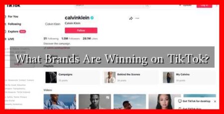 What Brands Are Winning on TikTok?