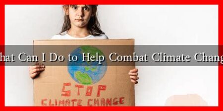 What Can I Do to Help Combat Climate Change?