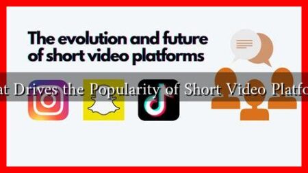 What Drives the Popularity of Short Video Platforms