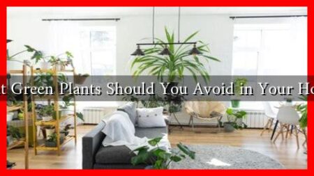 What Green Plants Should You Avoid in Your Home?
