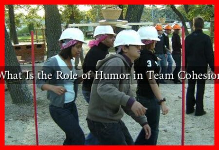 What Is the Role of Humor in Team Cohesion What Is the Role of Humor in Team Cohesion