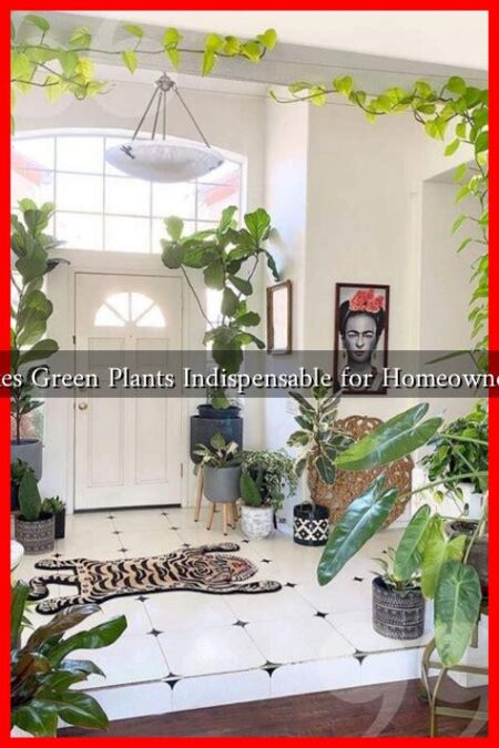 What Makes Green Plants Indispensable for Homeowners Today? What Makes Green Plants Indispensable for Homeowners Today?