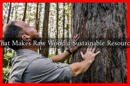 What Makes Raw Wood a Sustainable Resource?