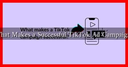 What Makes a Successful TikTok Ad Campaign?