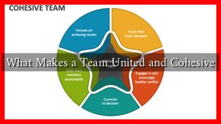 What Makes a Team United and Cohesive