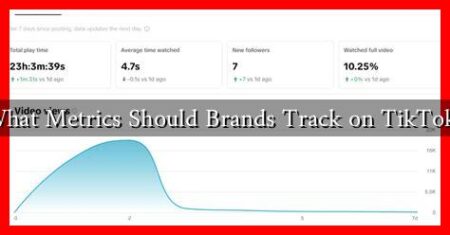 What Metrics Should Brands Track on TikTok?