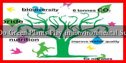 What Role Do Green Plants Play in Environmental Sustainability?