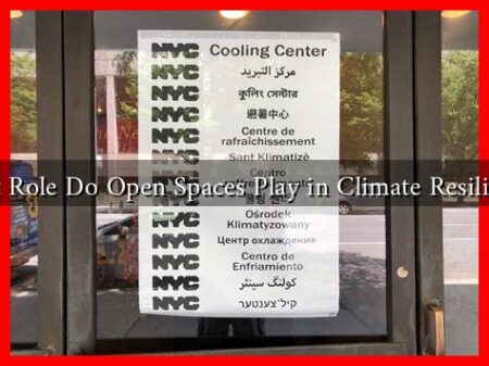 What Role Do Open Spaces Play in Climate Resilience? What Role Do Open Spaces Play in Climate Resilience?
