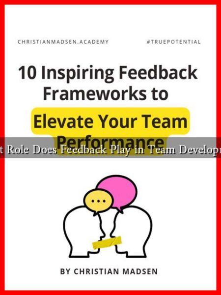 What Role Does Feedback Play in Team Development