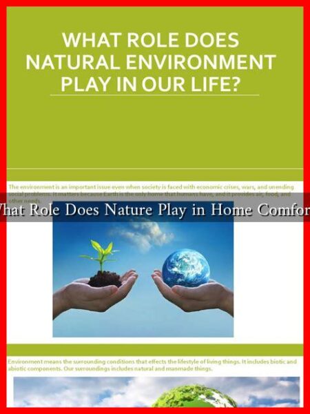 What Role Does Nature Play in Home Comfort?