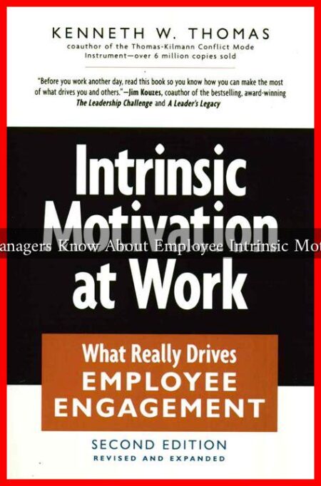 What Should Managers Know About Employee Intrinsic Motivation in 2025