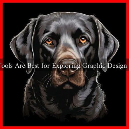 What Tools Are Best for Exploring Graphic Design Trends