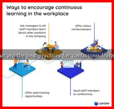 What are the best practices for continuous learning
