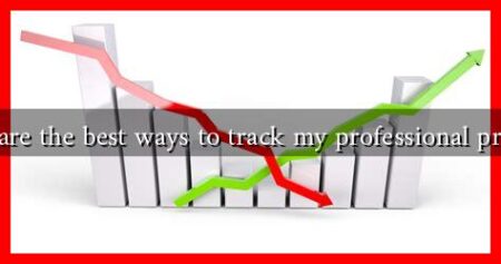 What are the best ways to track my professional progress What are the best ways to track my professional progress