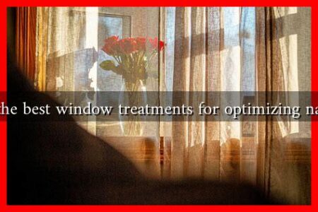What are the best window treatments for optimizing natural light