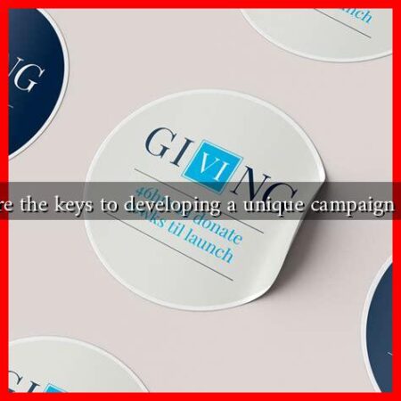What are the keys to developing a unique campaign identity