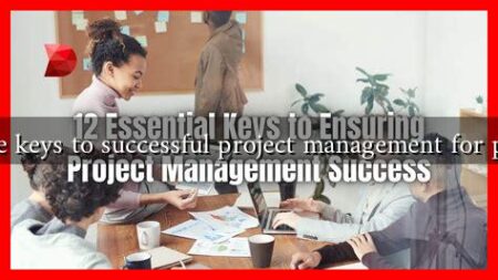 What are the keys to successful project management for professionals