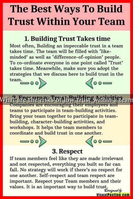 What are the risks of low trust within a team