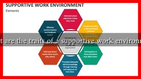 What are the traits of a supportive work environment