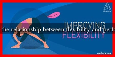 What is the relationship between flexibility and performance What is the relationship between flexibility and performance