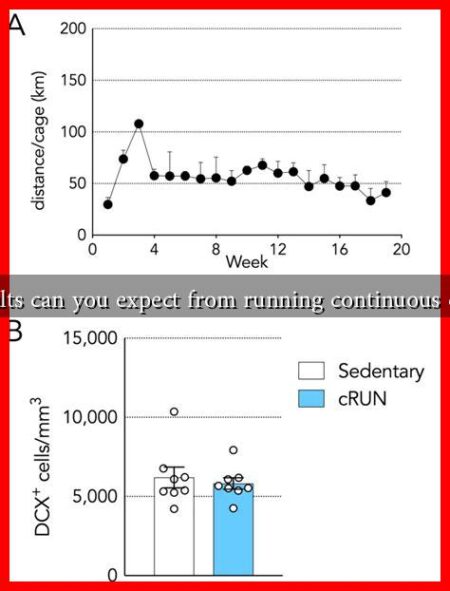 What results can you expect from running continuous campaigns