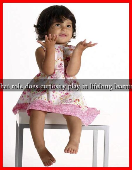 What role does curiosity play in lifelong learning What role does curiosity play in lifelong learning