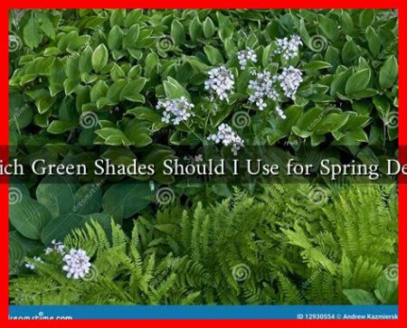 Which Green Shades Should I Use for Spring Decor Which Green Shades Should I Use for Spring Decor