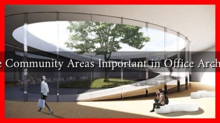 Why Are Community Areas Important in Office Architecture?