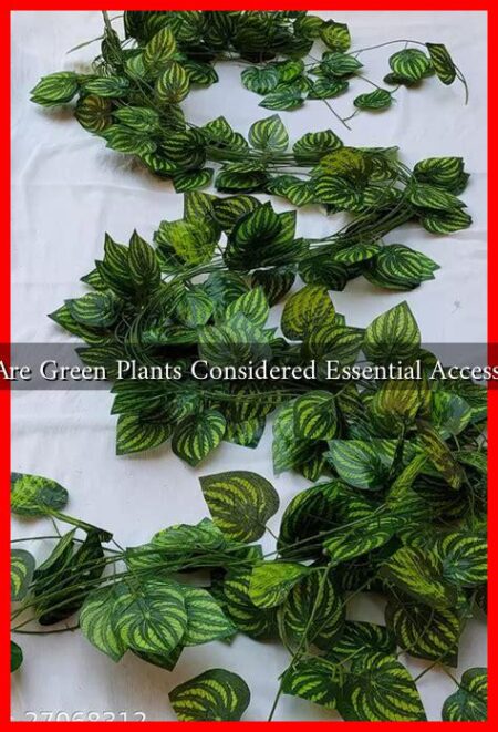 Why Are Green Plants Considered Essential Accessories? Why Are Green Plants Considered Essential Accessories?