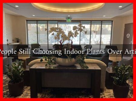 Why Are People Still Choosing Indoor Plants Over Artificial Ones