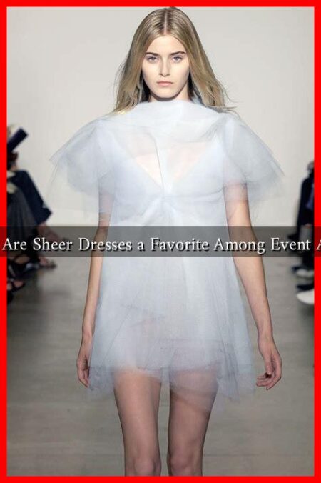 Why Are Sheer Dresses a Favorite Among Event Attire Why Are Sheer Dresses a Favorite Among Event Attire