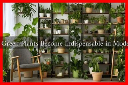 Why Have Green Plants Become Indispensable in Modern Living? Why Have Green Plants Become Indispensable in Modern Living?