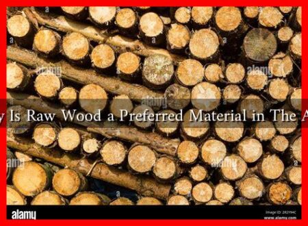 Why Is Raw Wood a Preferred Material in The Arts?