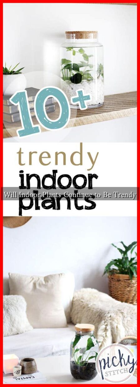 Will Indoor Plants Continue to Be Trendy